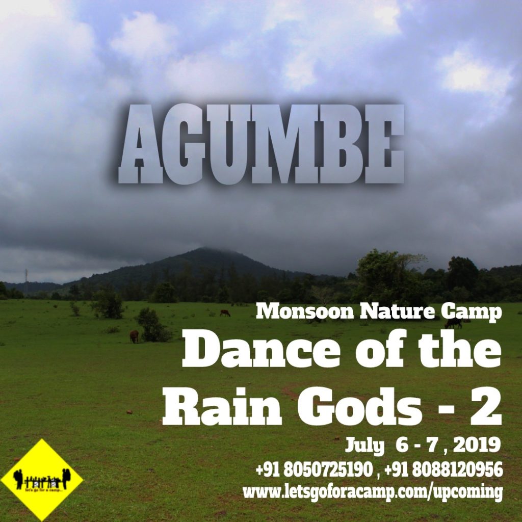 'Monsoon nature camp [dance of the rain gods 