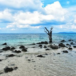 Andaman_women_only_2022_6days-