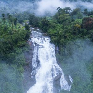 Women Only Mankulam – Anakulam 2 Days Sightseeing Trip