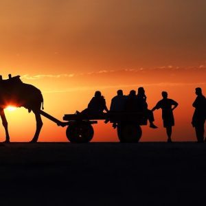 Rann of Kutch ,Gujarat ā Full Moon day Trip