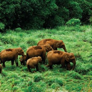 Explore Gavi- Women Only Trip