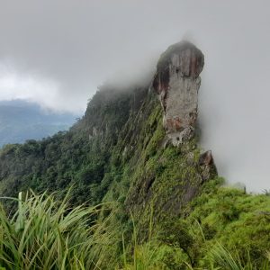Ilaveezhapoonchira and Illikalkallu- One day Trip – Women Only