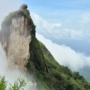 Ilaveezhapoonchira and Illikalkallu- One day Trip – Women Only
