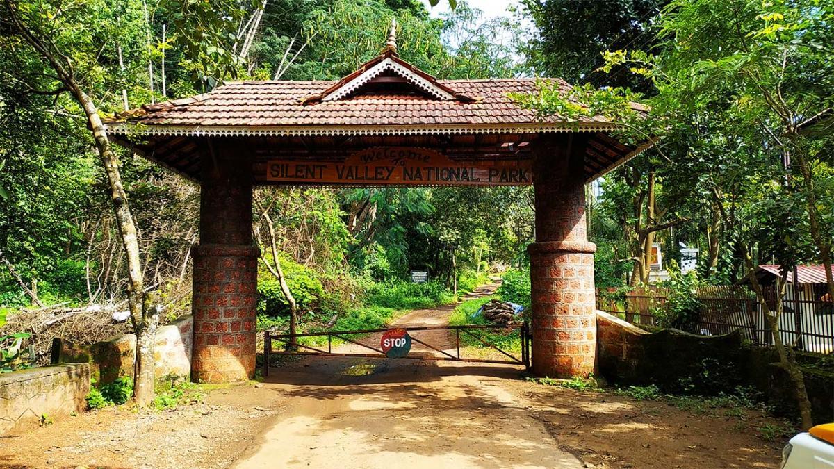 Explore the best of Silent Valley National Park for Trekking [Updated 2021]