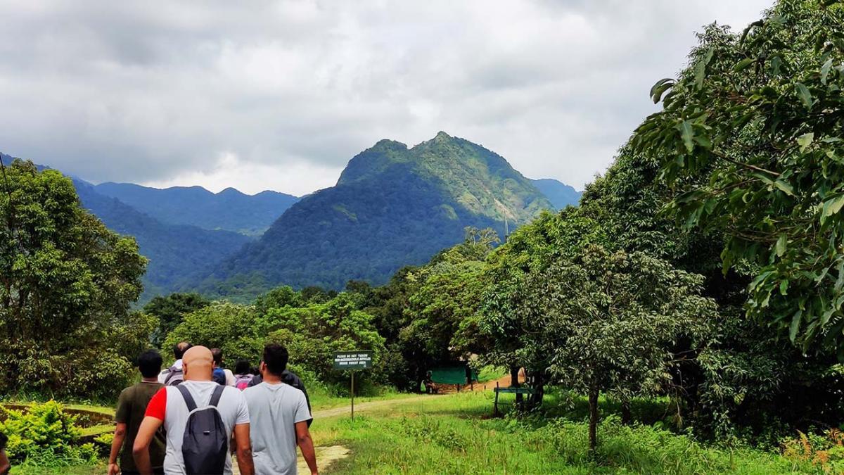 Explore the best of Silent Valley National Park for Trekking [Updated 2021]